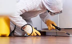 Best Pest Exclusion Services  in Josephine, TX